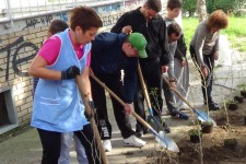 Donacija sadnica i uređenje okoline DB Čukarica